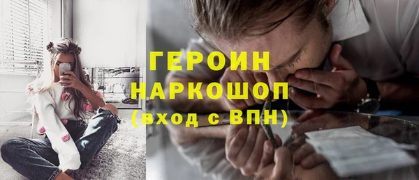 индика Алексин