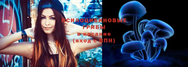 МДПВ Алзамай