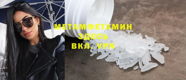 индика Алексин