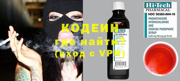 индика Алексин
