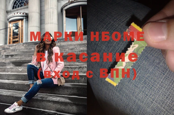 индика Алексин