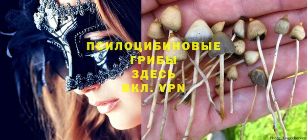 соль курить ск Алексеевка