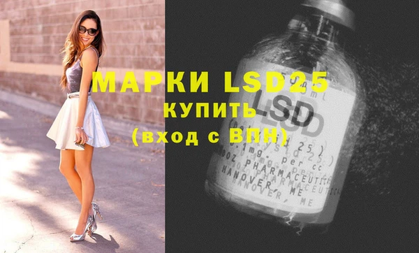 индика Алексин