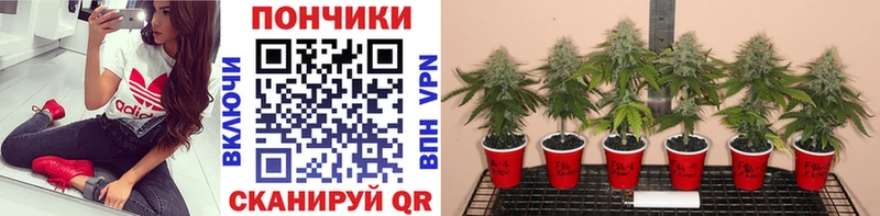 купить наркоту  ссылка на мегу ТОР  это телеграм  Лихославль  Каннабис марихуана 